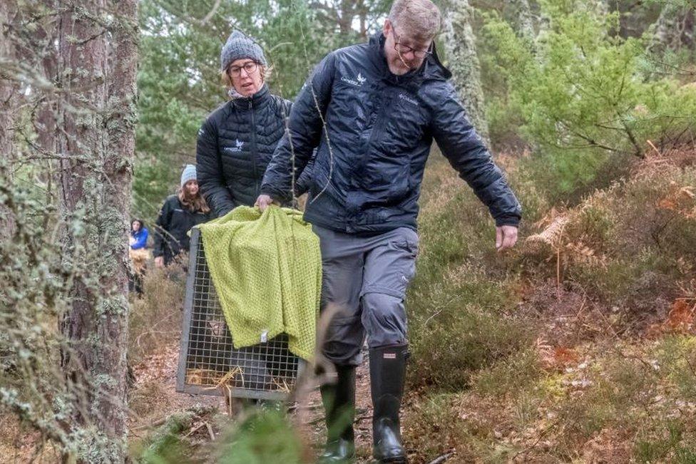 Lorna Slater during beaver release in Cairngorms