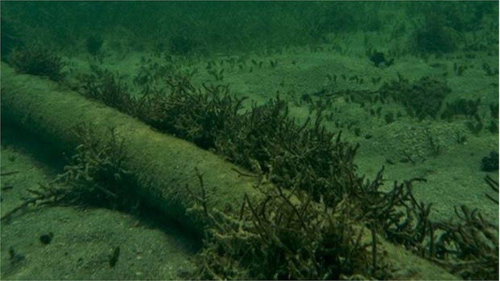 Caball air grunnd na mara