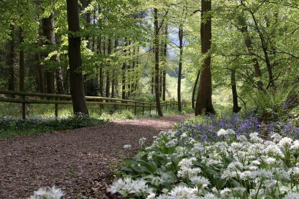 Part of the Cotswold Way