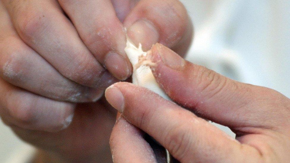 A chef in Taipei pinches a dumpling