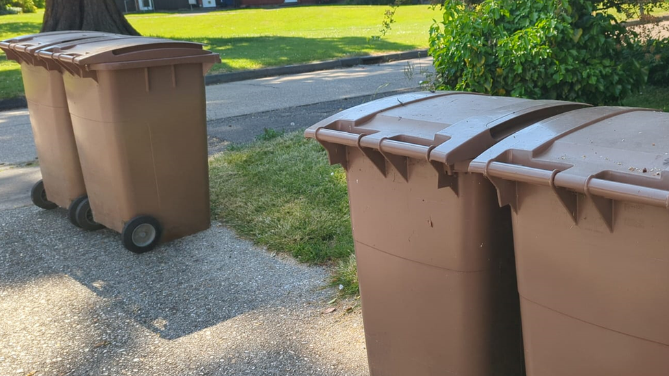 Brown bins