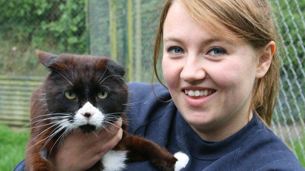 Ferne Animal Sanctuary staff with a cat patient