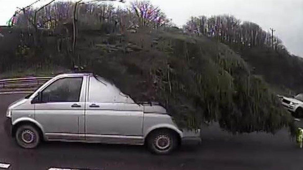 tree on van on A38