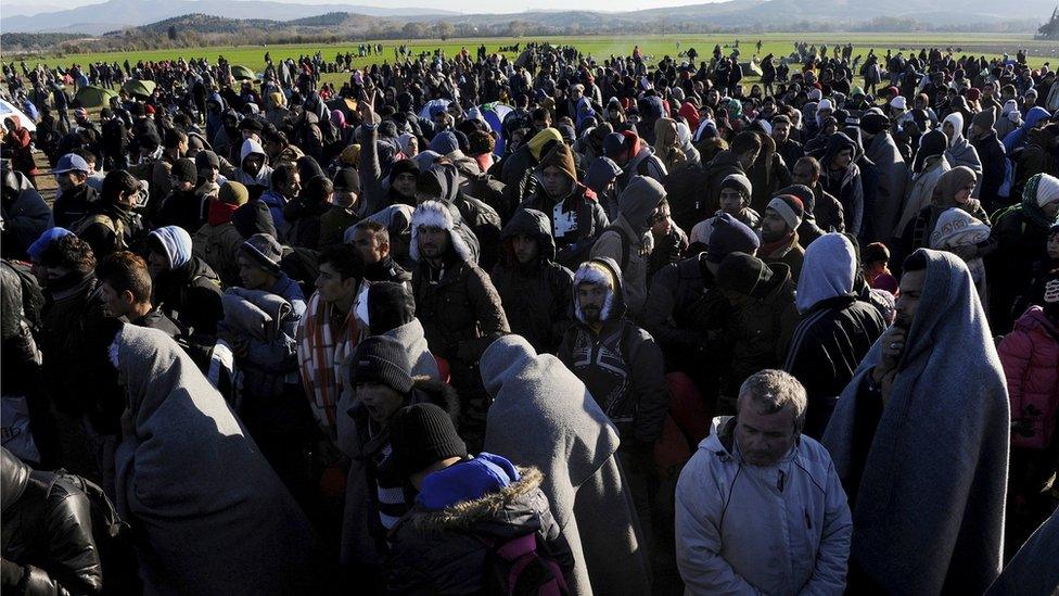 Stranded migrants gather next to the Greek-Macedonian border near the village of Idomeni, Greece, December 3, 2015.