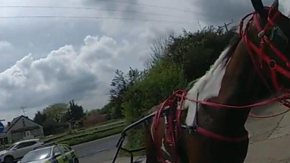 A horse and trap and a police are parked nearby