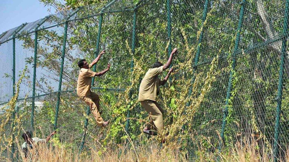 Park officials check boundary fences