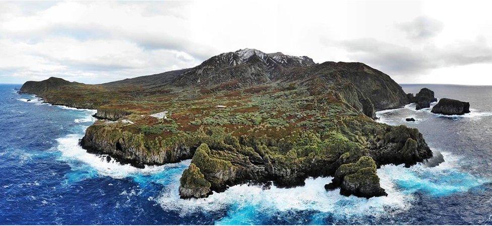 The Island of Gough in the South Atlantic.