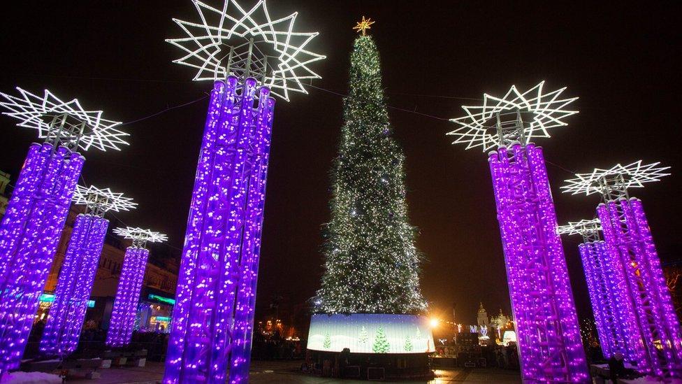 The Christmas tree is tall and thin. It is cone-shaped with few branches visible.