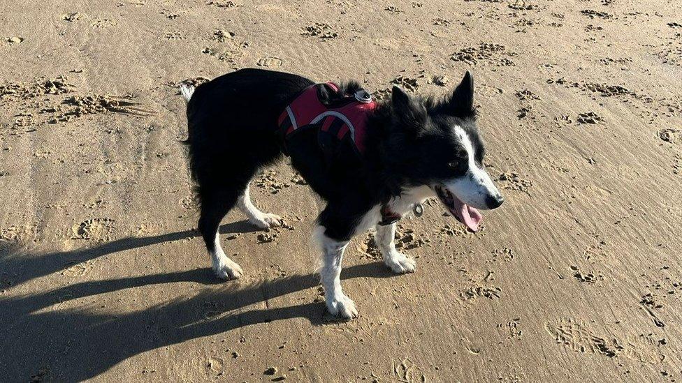 Ella pictured on the beach at Fraisthorpe