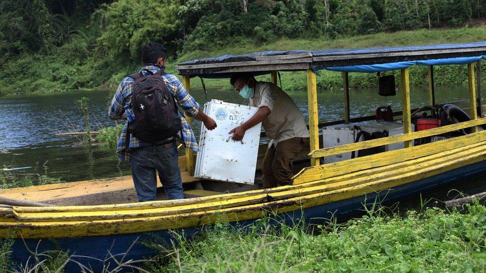 Charity team releasing slow lorises