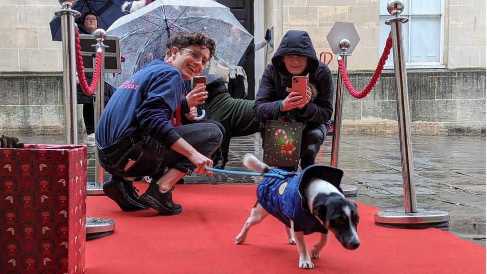 People taking photos of a dog on the red carpet