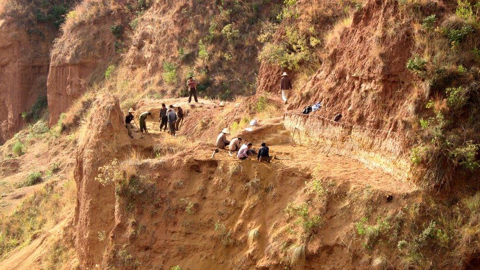 An excavation near the village of Leilao in Yunnan, China, one of the locations where Yuanmoupithecus remains have been found