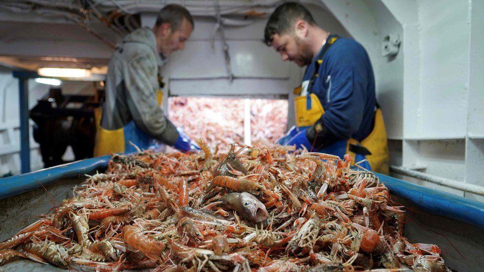 seafood fishermen