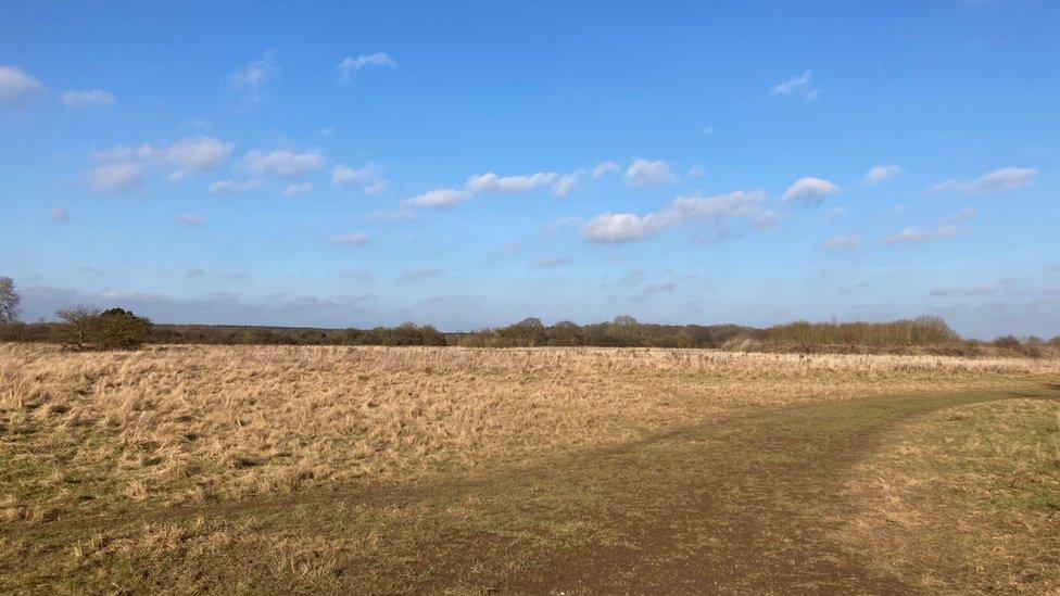 Former Hatfield Aerodrome site