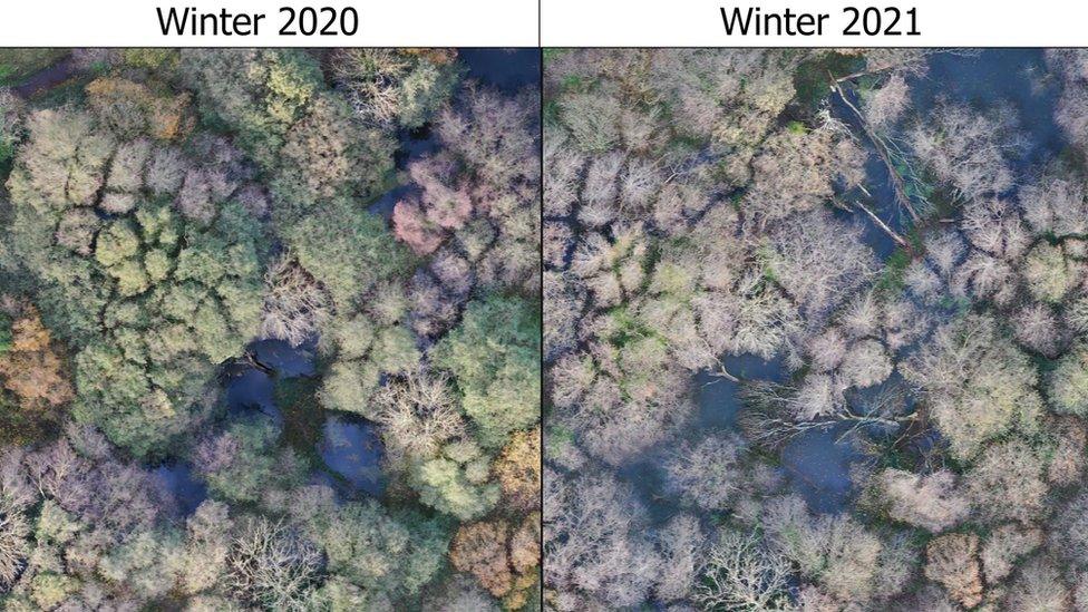 Changes to the wetland areas