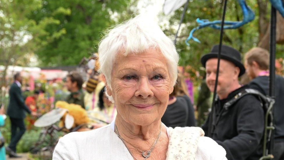 Dame Judi Dench