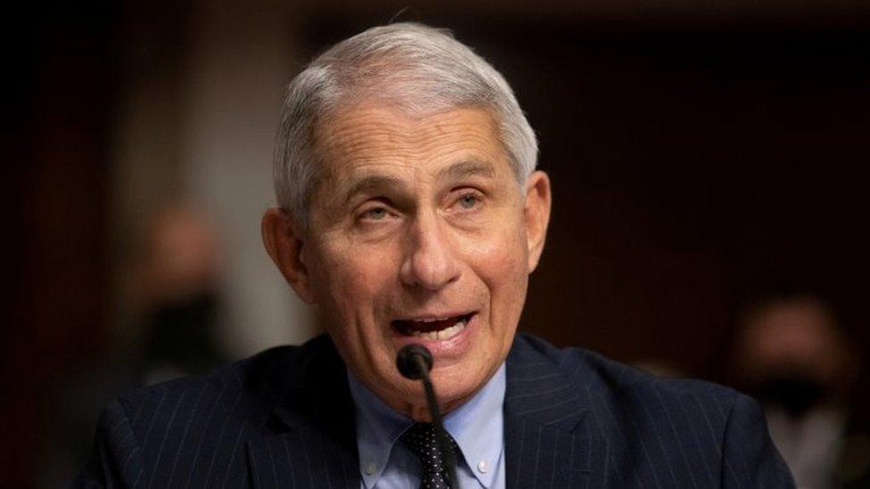 Dr Anthony Fauci