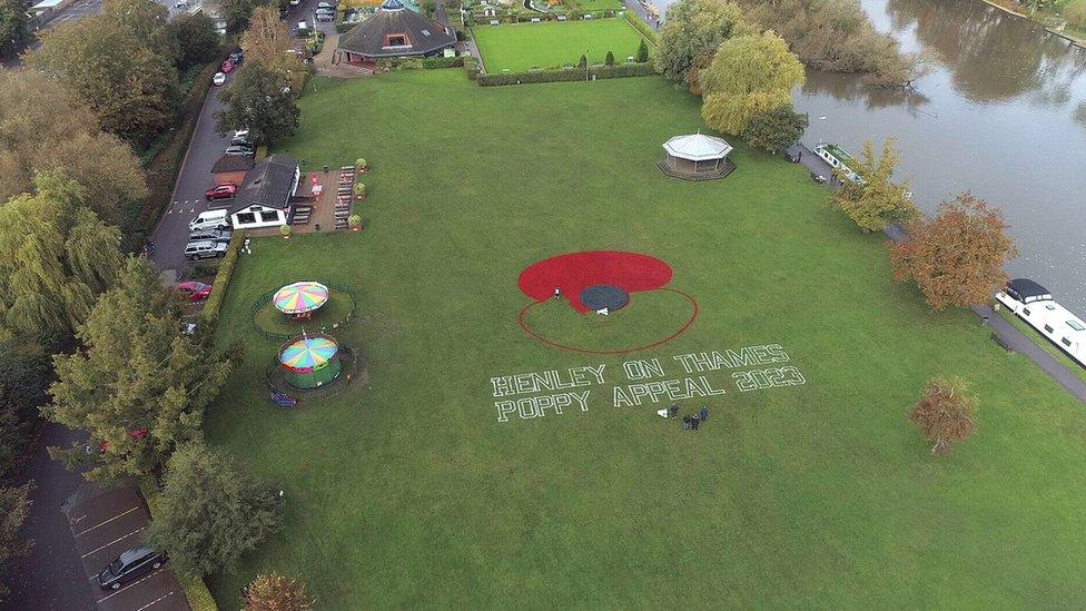 The poppy being painted