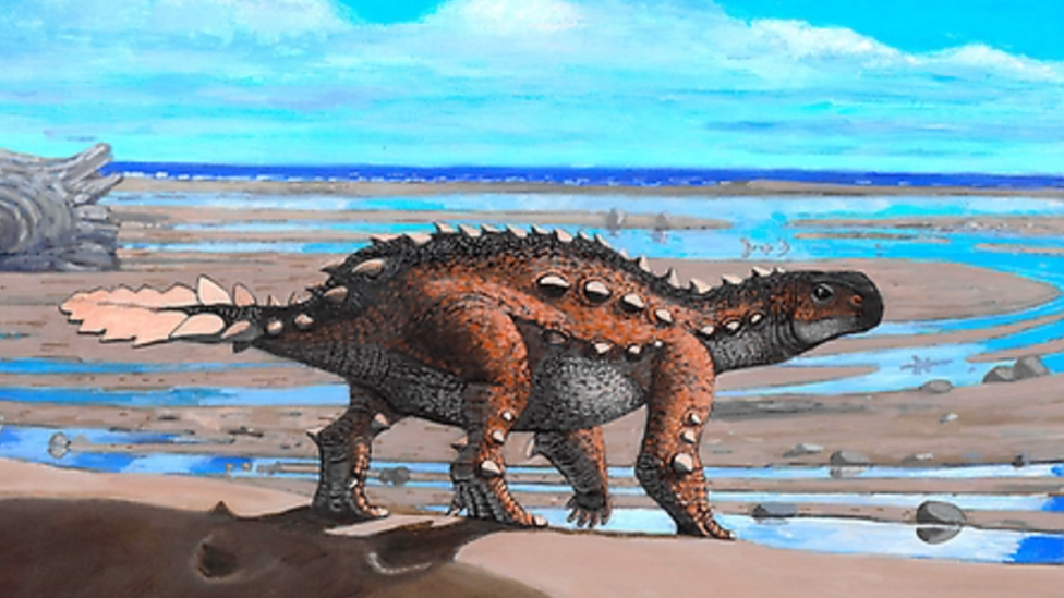 Artist's impression of the new species, Stegouros elengassen