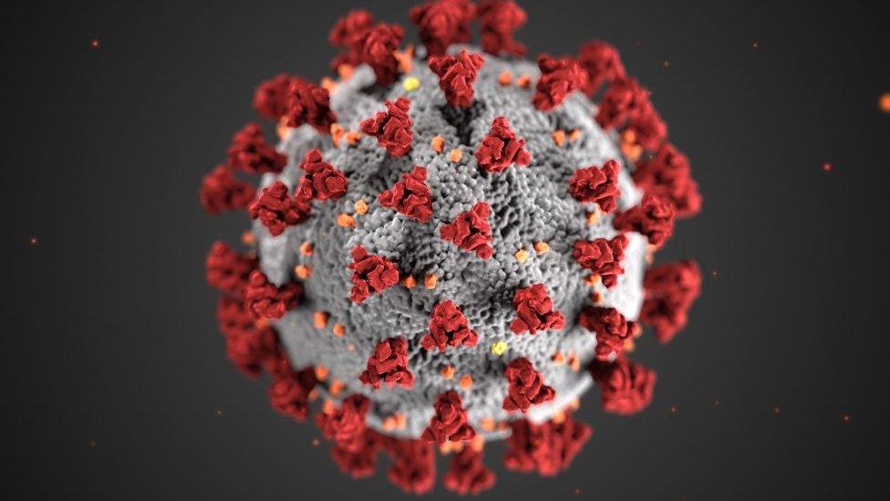 Coronavirus