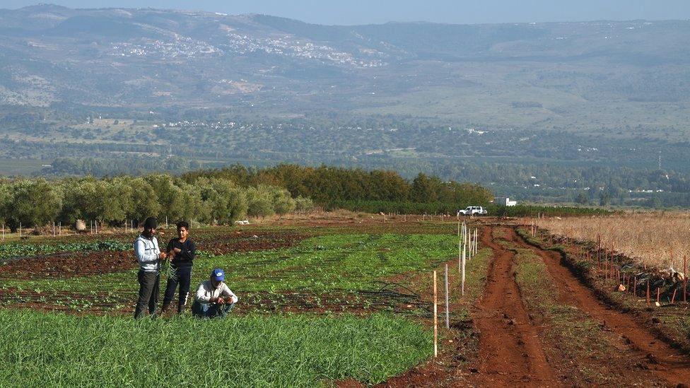 Farmers in the area are desperate to have their land cleared