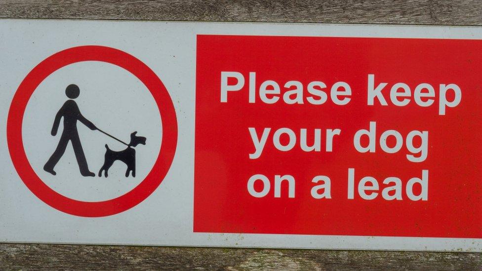 Keep dogs on lead sign