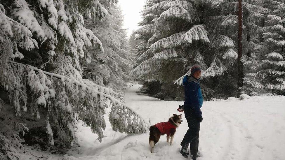 Walker in Cardrona Woods