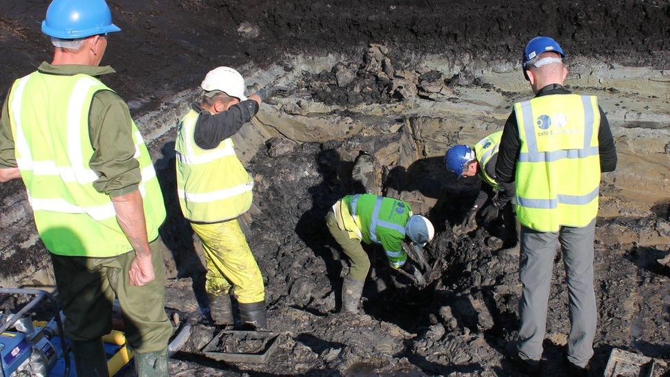 Archaeologists at the dig examining the flag control