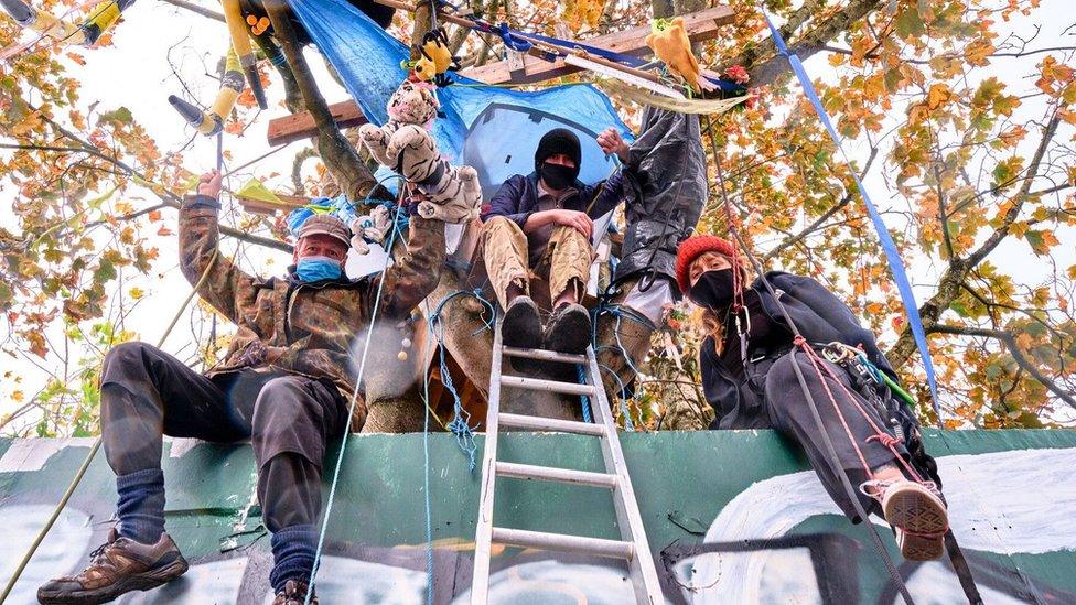 Protesters in the final remaining Maple tree on Lower Ashley Road, Bristol