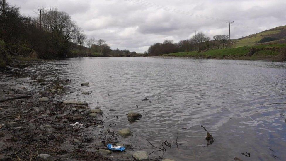 Afon Dyfi