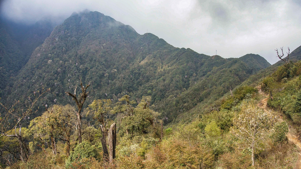 Fansipan Mountain, Vietnam