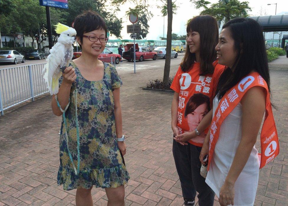 Picture of bird lady at HK local elections on 22 November 2015