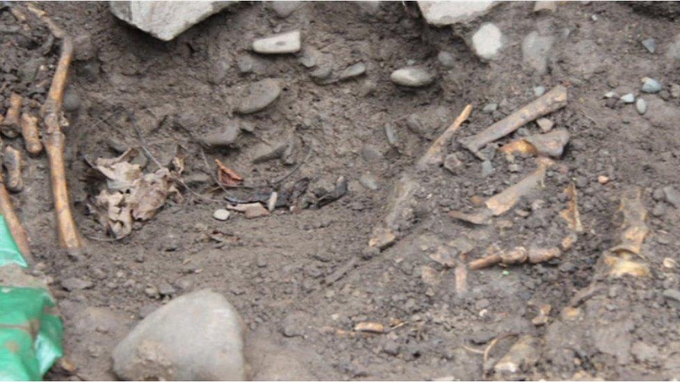 Animal bones found on the site