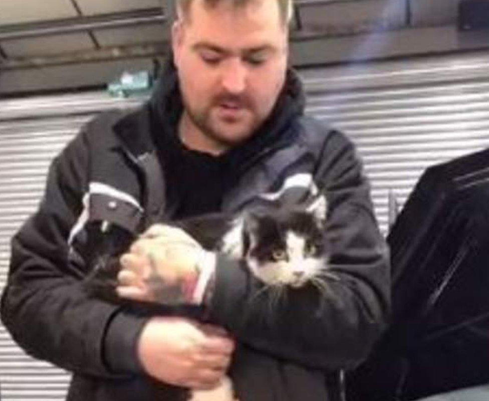 One of the mechanics with the rescued cat