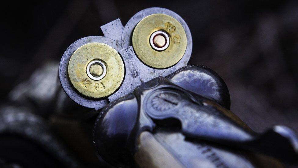 shells in the a double barrel shotgun