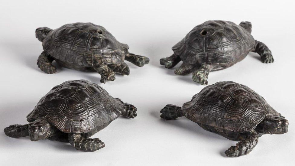 The four stolen tortoises