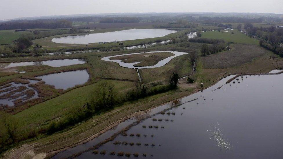 Ripon City Wetlands