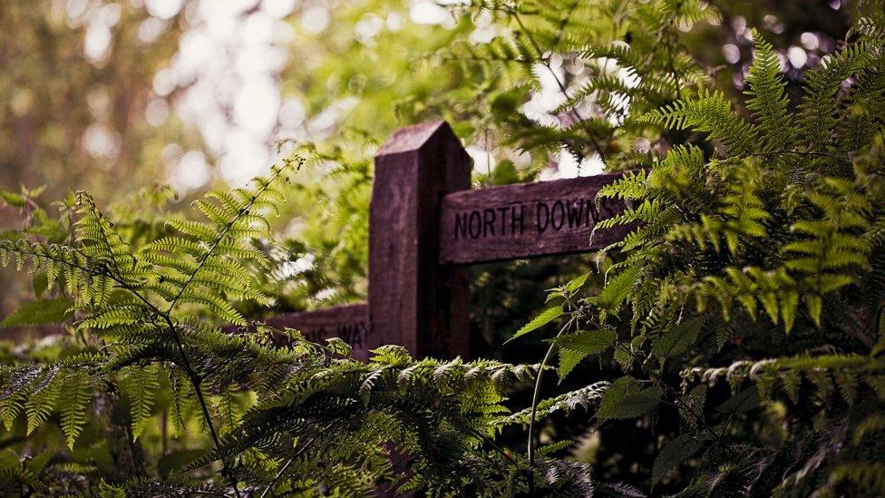 North Downs marker at Farnham