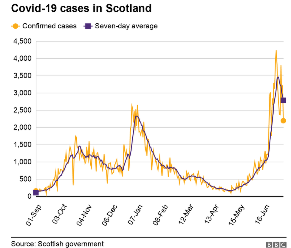 covid cases