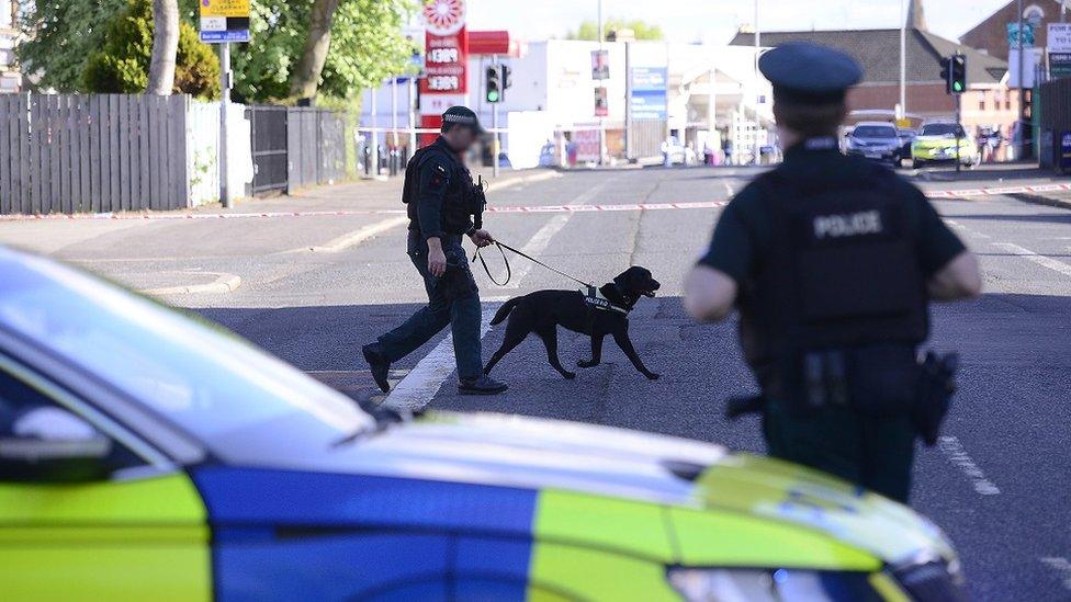 Photo of police man and police dog