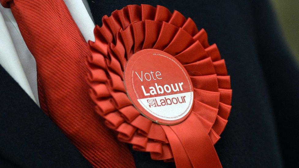 Labour party rosette