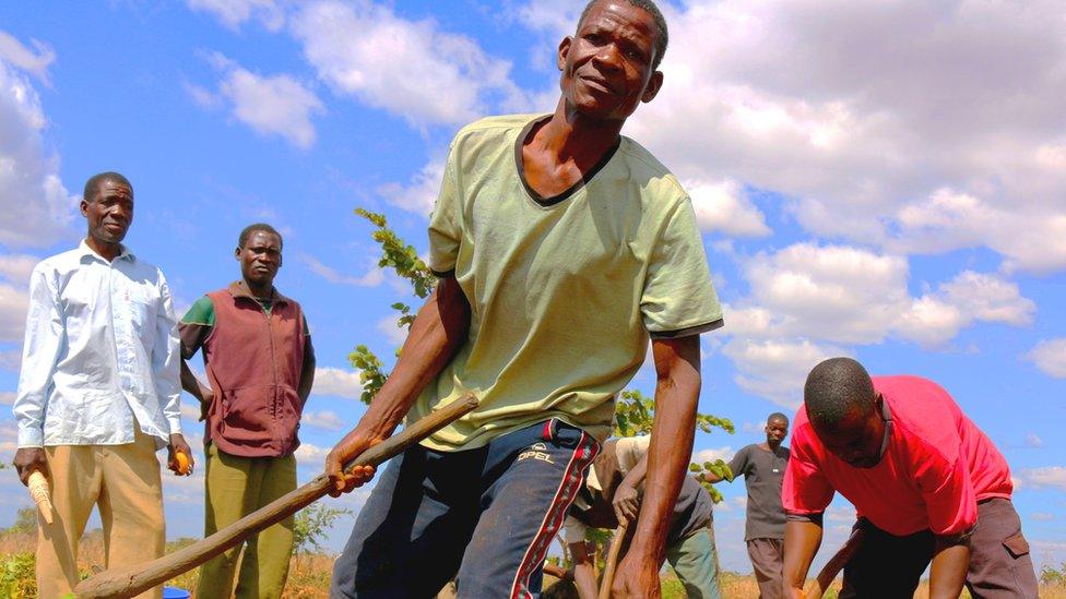 Men working in the field (Image: S.Quinn/CIP)