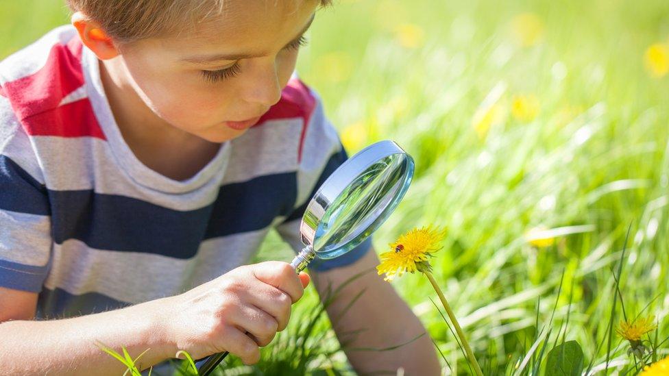 Boy looking at ladybird through a magnifying glass.