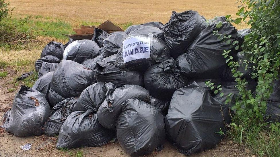 Bin bags full of cannabis plant remnants