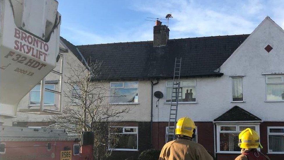 Firefighters look at snagged birs on roof