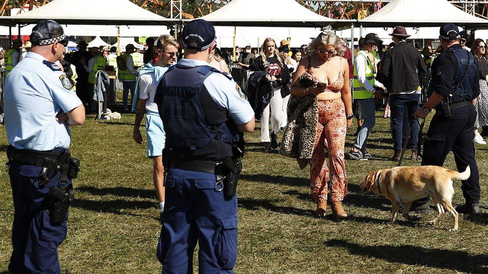 A festival goer is approached by a police sniffer dog and several police at a music festival in Sydney