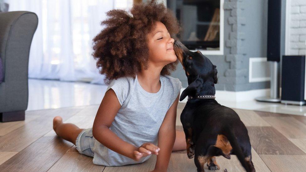 girl playing with small dog