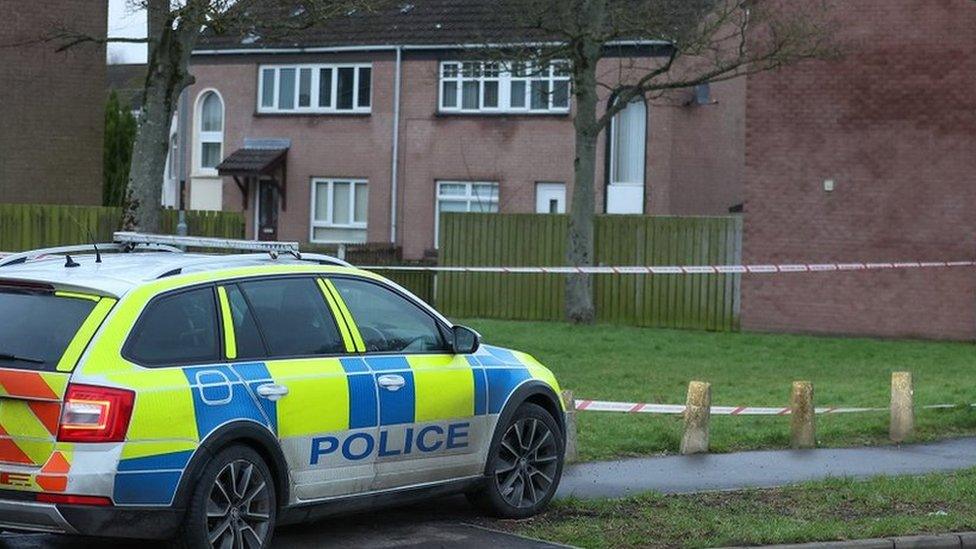 A police car at the scene in Woodland Walk, Limavady