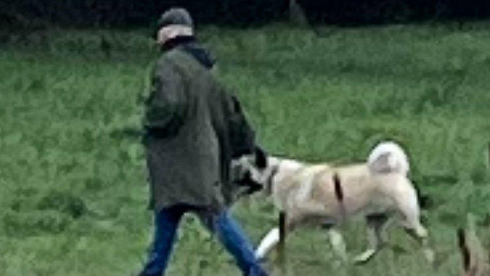 Man in dark green coat with flat cap walking a dog with yellow fur