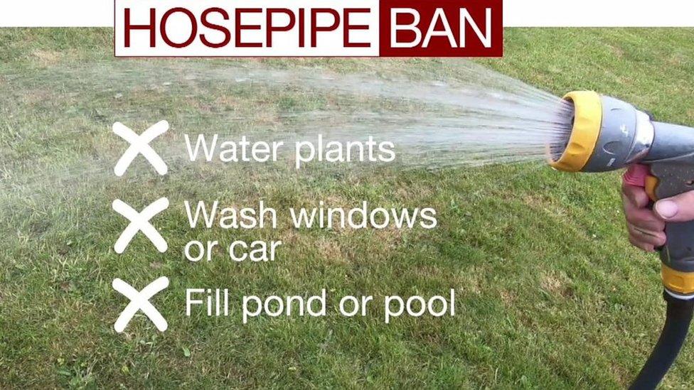 Hosepipe ban